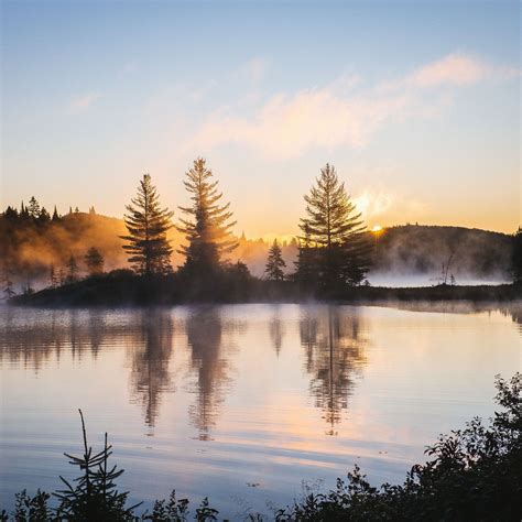 Lake Reflection Morning Mist Trees Nature Hd 4k Ipad Pro Wallpapers