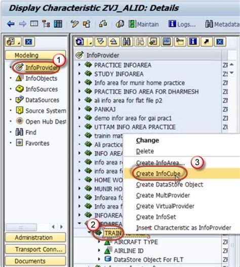 What Is An Infocube In Sap Bibw How To Create One