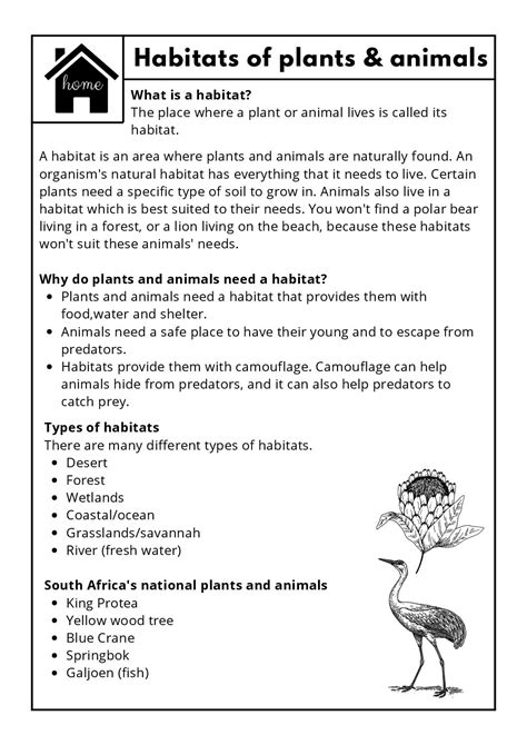 Grade 4 Natural Science And Technology Worksheets Teacha