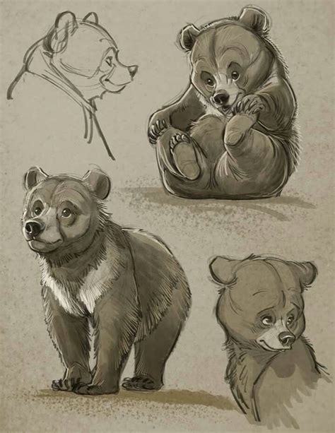 By Aaron Blaise Animal Sketches Animal Drawings Cute Drawings Art
