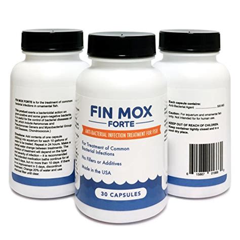 Mox Forte 500mg 30 Capsules Antibacterial Treatment Pure Fish Fin Ebay