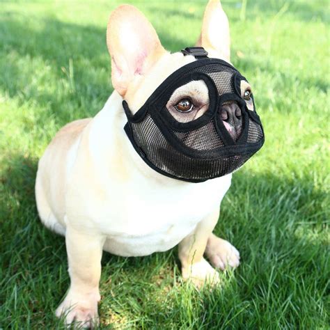 Buy Ibluelover Adjustable Bulldog Pug Muzzles Short Snout Dog Muzzle