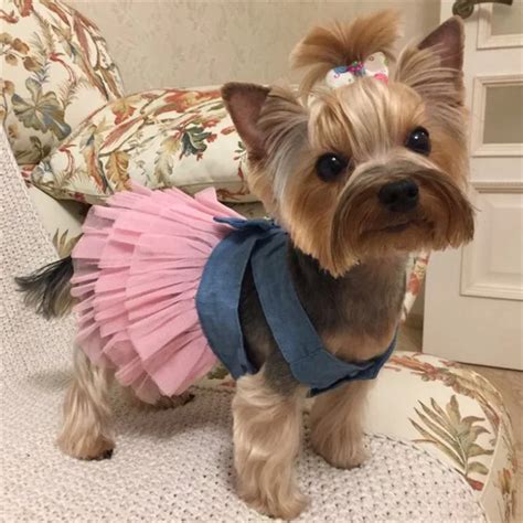Pet Dog Clothes Skirt Hair Bows Set Cat Puppy Wedding Dresses Small