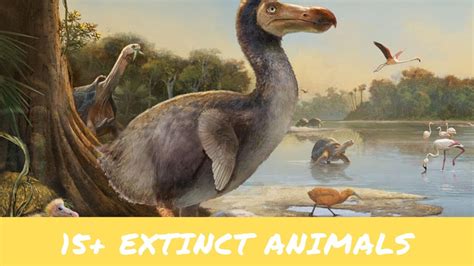 15 Extinct Animals Youtube