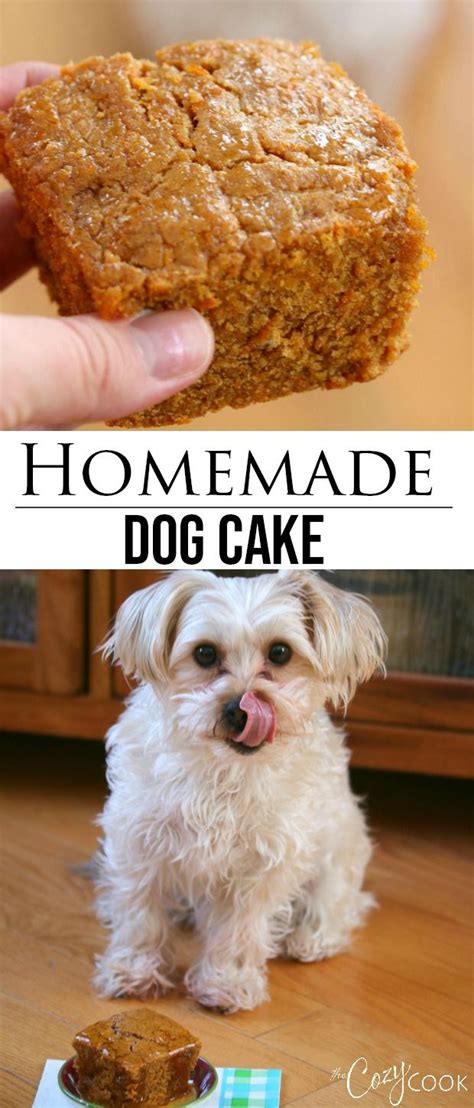 That frosting tastes a bit odd, grumbled the husband of dozer's boarder. This easy Homemade Dog Cake Recipe has a tasty blend of peanut butter, honey and carrots, y ...