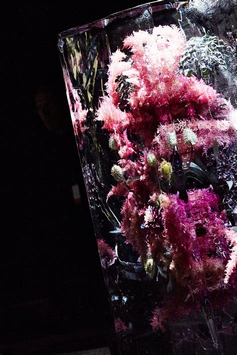 Azuma Makotos “iced Flowers” At Dries Van Noten The New York Times