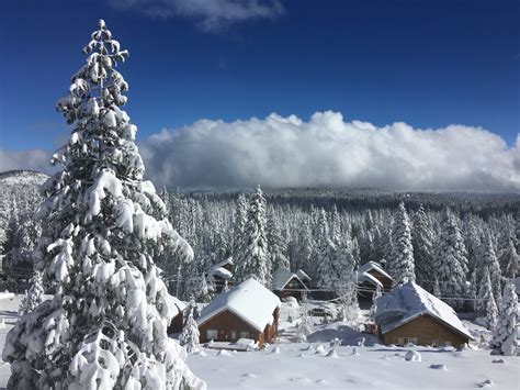 Book Your Winter 2022 Getaway Today