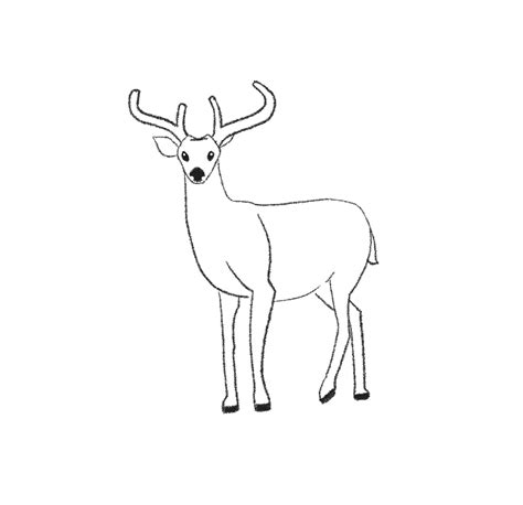 How To Draw A Deer Easy Step By Step With Pictures Jae Johns Deer