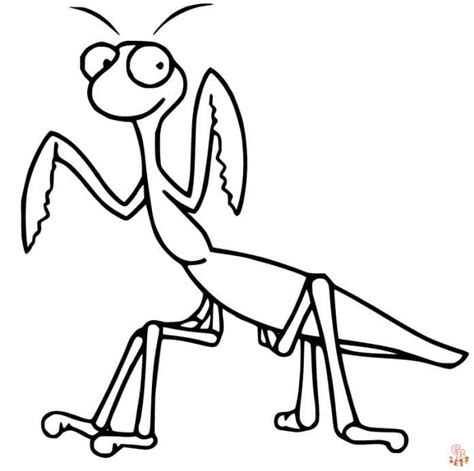 Praying Mantis Coloring Page Easy Drawing Guides Hot Sex Picture