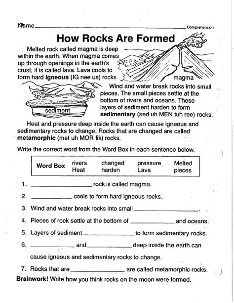 6 Grade Science Worksheet