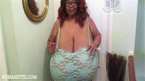 Norma Stitz Productions Little Dick Sob Conversation With Norma Stitz