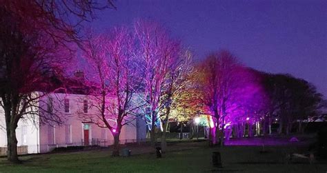 ‘winterlight Treeluminations Shine At Flowerfield Arts Centre This