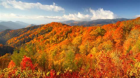Smoky Mountains Fall 2023 Festivals And Foliage Guide