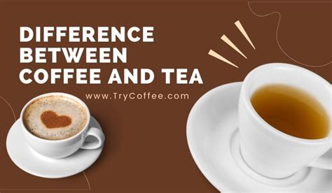 Difference Between Coffee And Tea Core Differences Try Coffee
