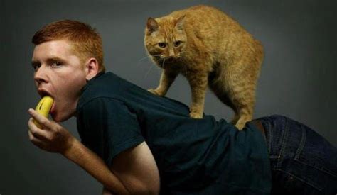 The Absolute Worst Pictures Of Men Holding Cats Men With Cats