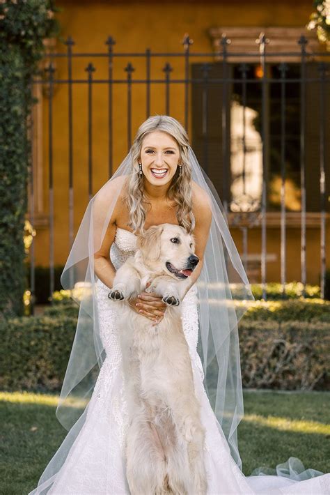 Bride And Dog Wedding Day Photo Ideas In 2021 Dog Wedding Arizona