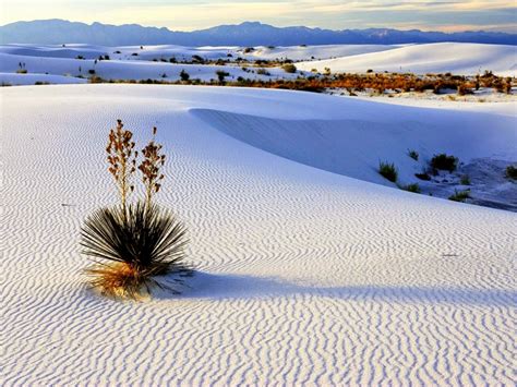 White Sands The Largest Gypsum Desert In The World Usa