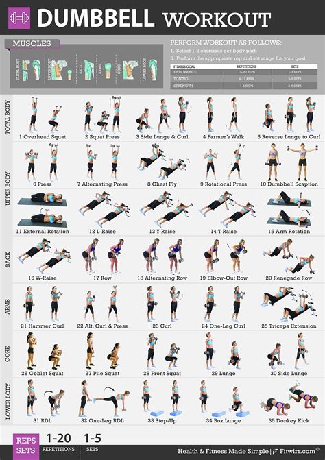 Dumbbell Workout Chart Exercise Poster Etsy Australia