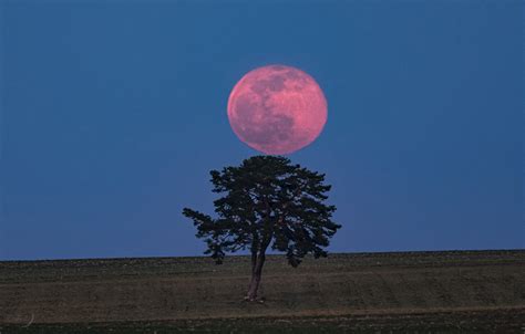 La Plus Grosse Pleine Lune De 2021 Et Les Autres Autour Du Ciel