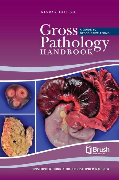 Gross Pathology Handbook A Guide To Descriptive Terms By Christopher