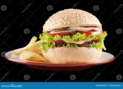 Burger And Potato Chips On A Plate Stock Image Image Of Chips Diet