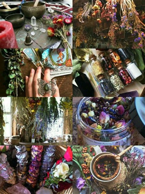 200 Best ♡ Witch Aesthetic Mood Boards And Misc Witchy Herbs Spices