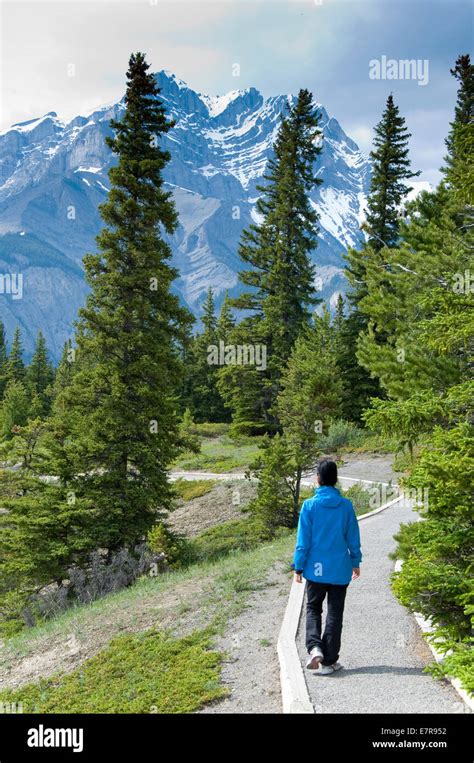 Hoodoos Trail Banff Alberta Canada Stock Photo Alamy