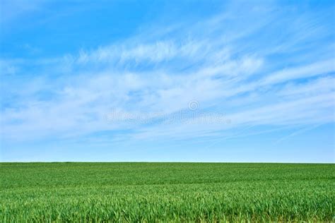 Green Fields And Blue Skies Green Fields And Blue Sky In Spring And