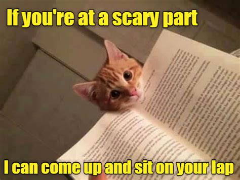 true book addict books cats and more catthursday another reading cats edition and an
