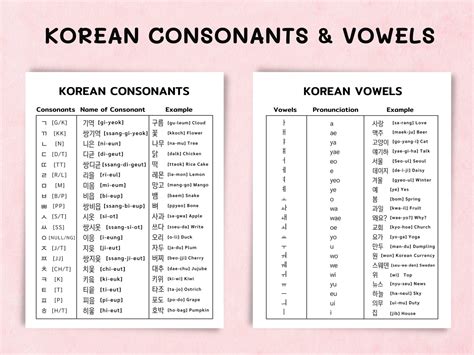 5 In 1 Korean Consonants Vowels Numbers Words And Word Etsy
