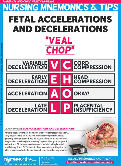 Veal Chop Ob Nursing Mnemonic For Fetal Accelerations Decelerations My Xxx Hot Girl