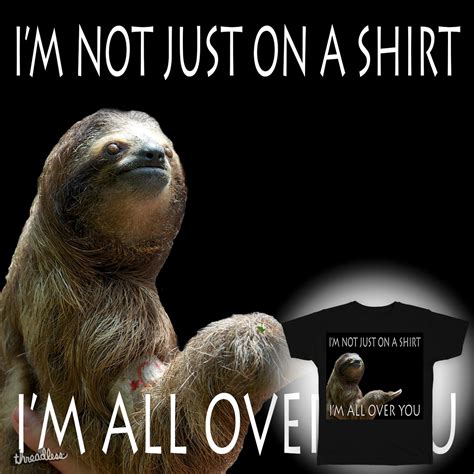 Top 140 Funny Sloth Memes