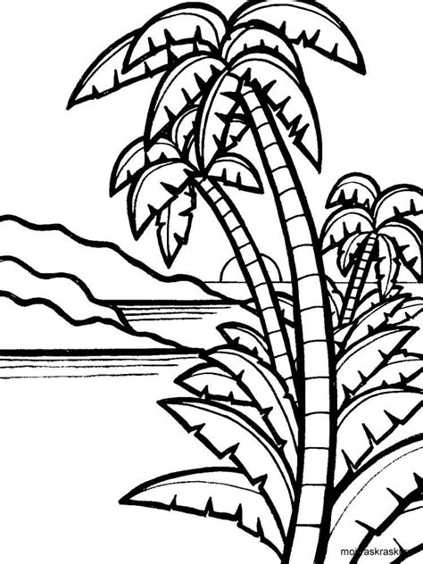 Share some fun facts about these trees like their scientific name or their fruits while your little one colors. Palm Tree coloring pages for kids. Free Printable Palm ...