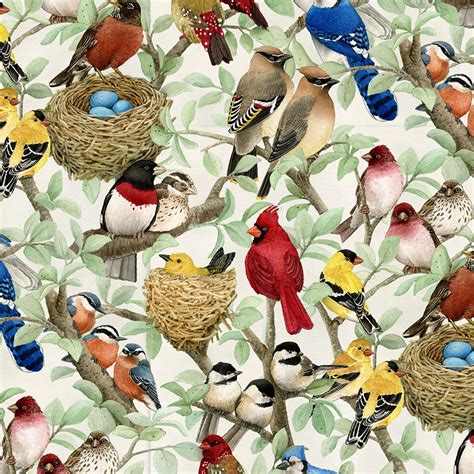 Elizabeths Studio Beautiful Birds Cream Fabric Birds Bird Quilt