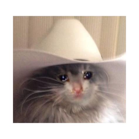 Sad Cowboy Cat Meme Sad Cat Poduszka Teepublic Pl