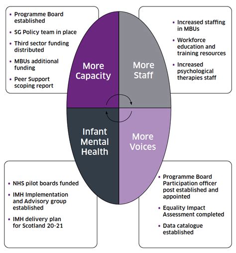 Perinatal And Infant Mental Health Programme Board 2020 2021 Delivery