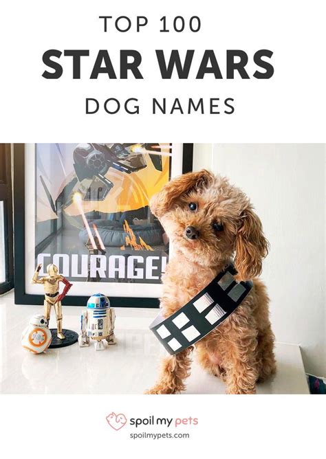 Top 100 Star Wars Dog Names Dog Names Clever Dog Names War Dogs