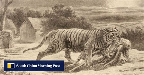 Historys Deadliest Single Animal Story Of The Killer Indian Tiger And