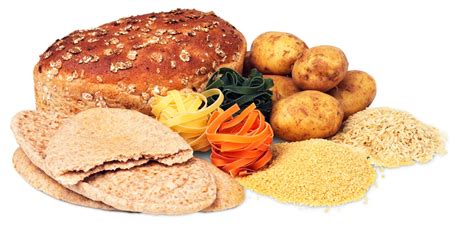 Facts About Carbohydrates For Kids Dk Find Out