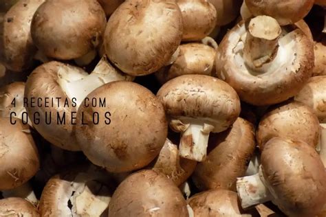 Arquivo de receitas de cogumelos Receitas fáceis rápidas e saborosas