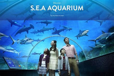 Tripadvisor Sea Aquarium Singapour Pass Journalier Eticket