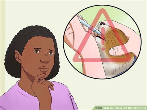 His vomiting is always in the morning. How to Help a Cat Not Throw Up: 11 Steps (with Pictures ...