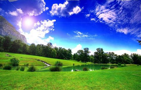 Free Download Beautiful Green Tree Blue Sky Landscape Pc Hd Nature