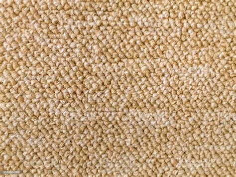Starting at $ 5.29 sq ft. Wool Berber Carpet Texture In Cream Color Stock Photo - Download Image Now - iStock