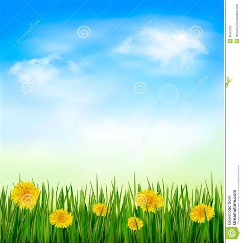 Nature Background With Green Grass And Flowers And Stock Photo Image