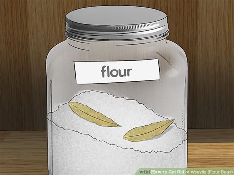 How To Get Rid Of Weevils Flour Bugs 10 Steps With Pictures