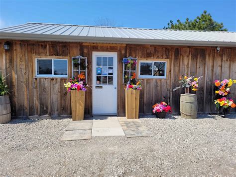 Gallery | K9 Resort