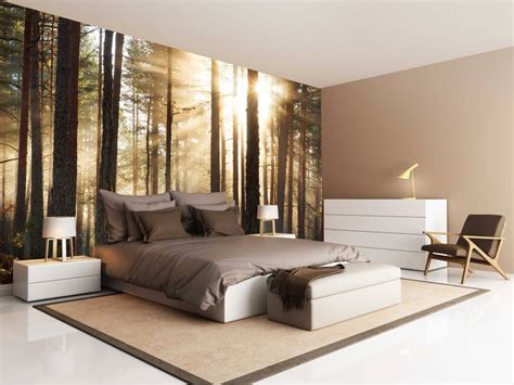 Looking for the definition of bos? Fotobehang Bos zonsopgang - Walldesign56.com
