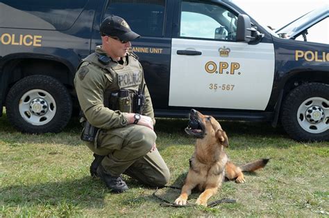 Opp Canine Unit At The 5 0 Drive In Car Show In London Ontario Canada