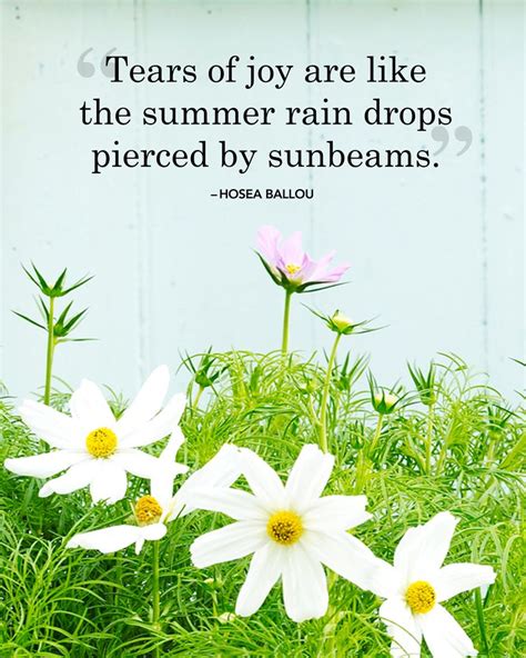 20 Best Summer Quotes And Sayings Inspirational Quotes About Summer